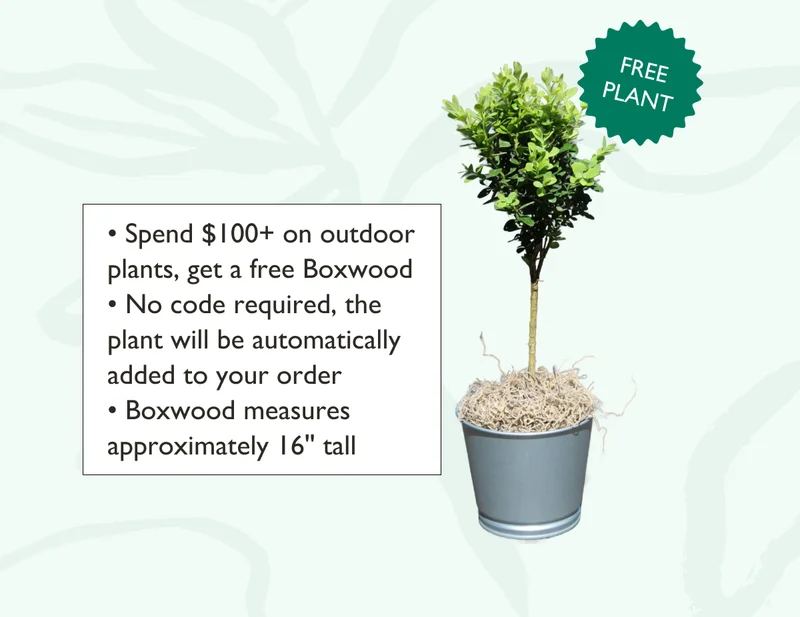 No code required! The plant will be automatically added to your order.
