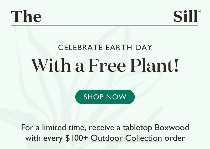 Celebrate Earth Day with a free plant! For a limited time, receive a tabletop Boxwood with every $100+ Outdoor Collection order.
