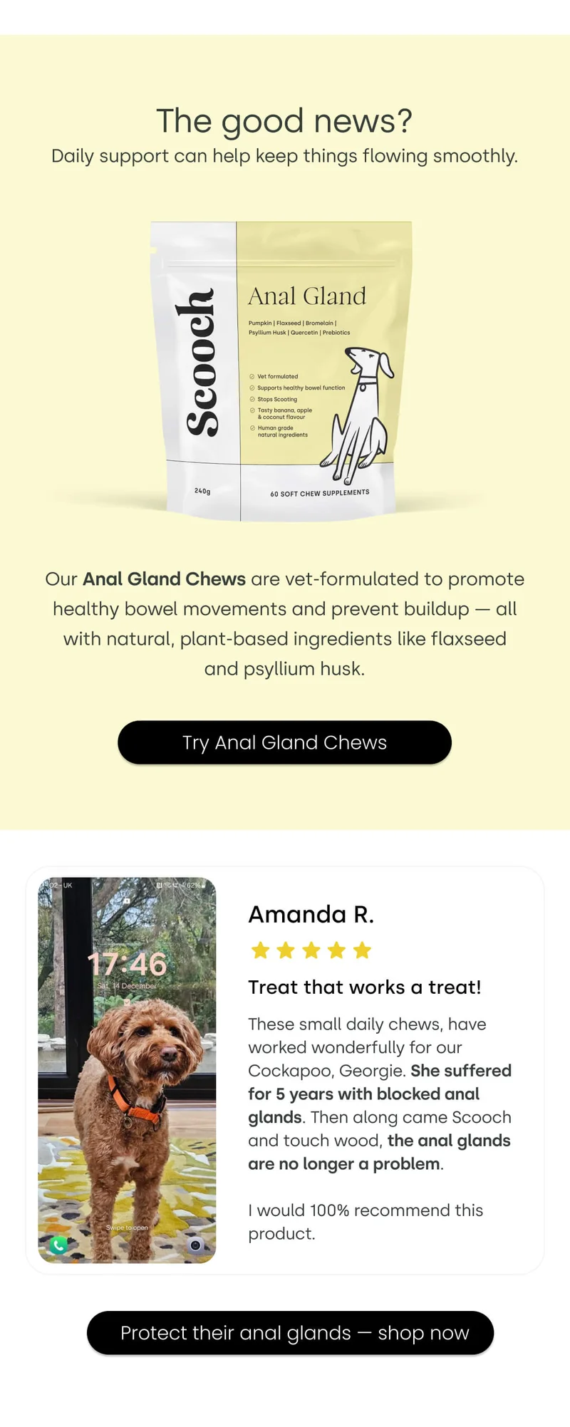 The good news? Daily support can help keep things flowing smoothly. - Protect their anal glands