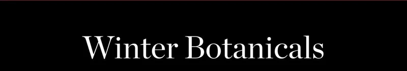 Winter Botanicals