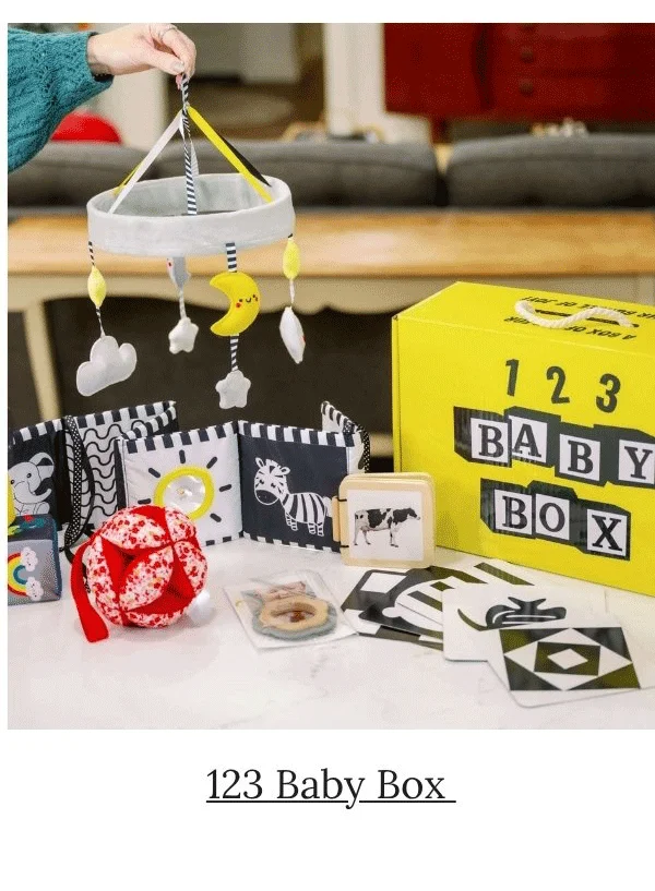 123 Baby Box