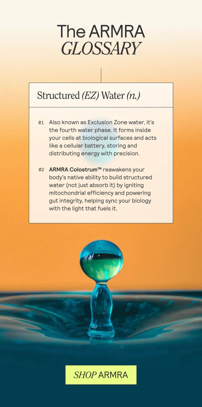 THE ARMRA GLOSSARY