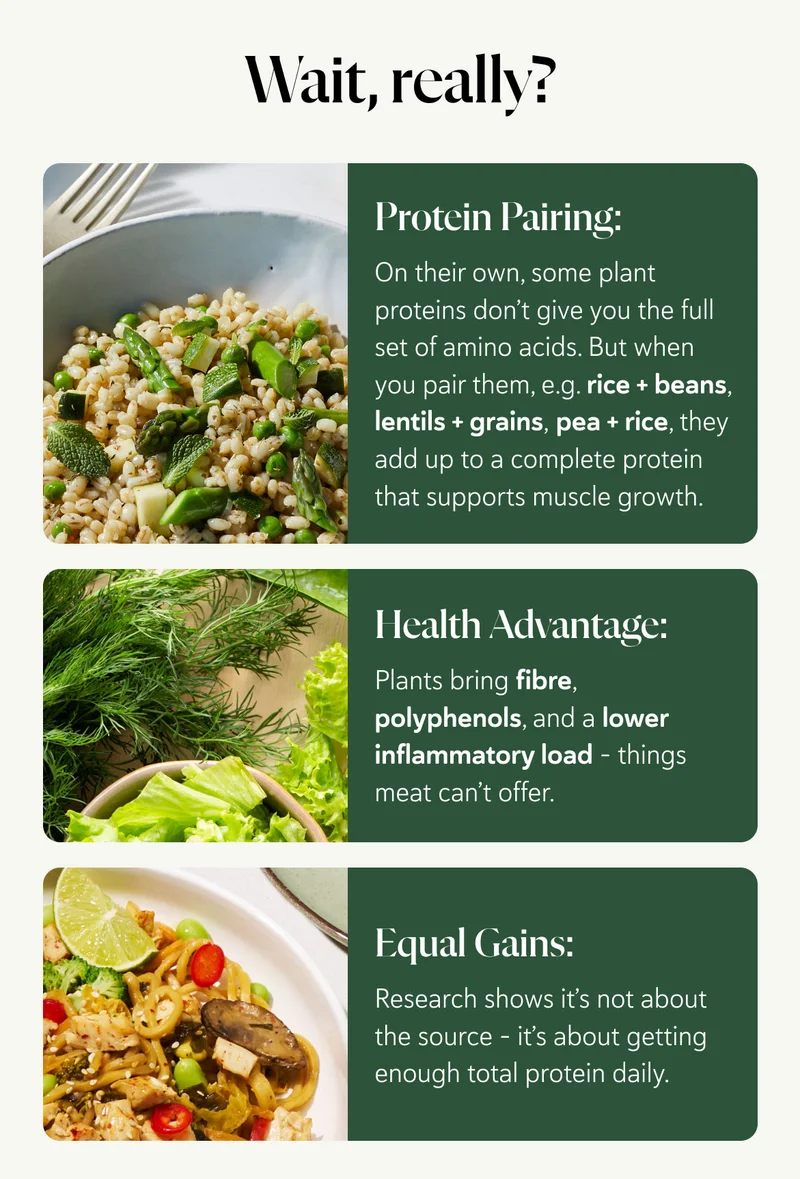 Wait, really?  Protein Pairing: On their own, some plant proteins don’t give you the full set of amino acids. But when you pair them, e.g. rice + beans, lentils + grains, pea + rice, they add up to a complete protein that supports muscle growth. Health Advantage: Plants bring fibre, polyphenols, and a lower inflammatory load – things meat can’t offer. Equal Gains: Research shows it’s not about the source – it’s about getting enough total protein daily.