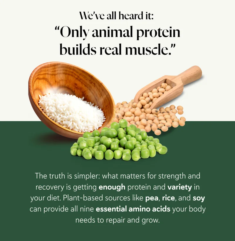 We’ve all heard it: “Only animal protein builds real muscle.” The truth is simpler: what matters for strength and recovery is getting enough protein and variety in your diet. Plant-based sources like pea, rice, and soy can provide all nine essential amino acids your body needs to repair and grow.