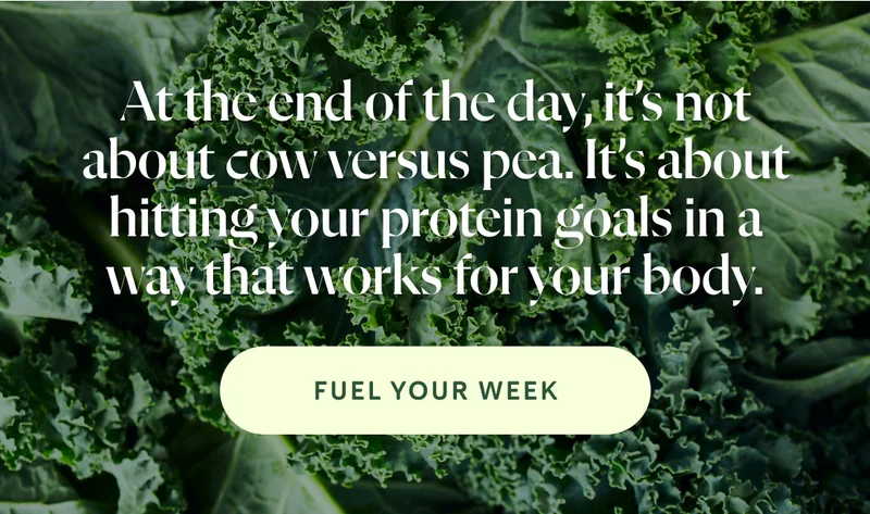 At the end of the day, it’s not about cow versus pea. It’s about hitting your protein goals in a way that works for your body.