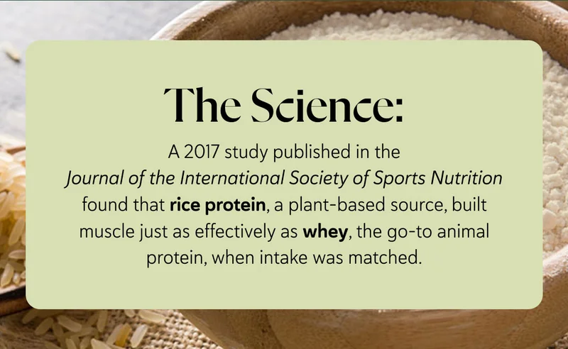 The Science:  A 2017 study published in the Journal of the International Society of Sports Nutrition found that rice protein, a plant-based source, built muscle just as effectively as whey, the go-to animal protein, when intake was matched.