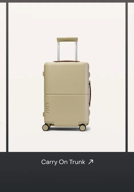Carry On Trunk