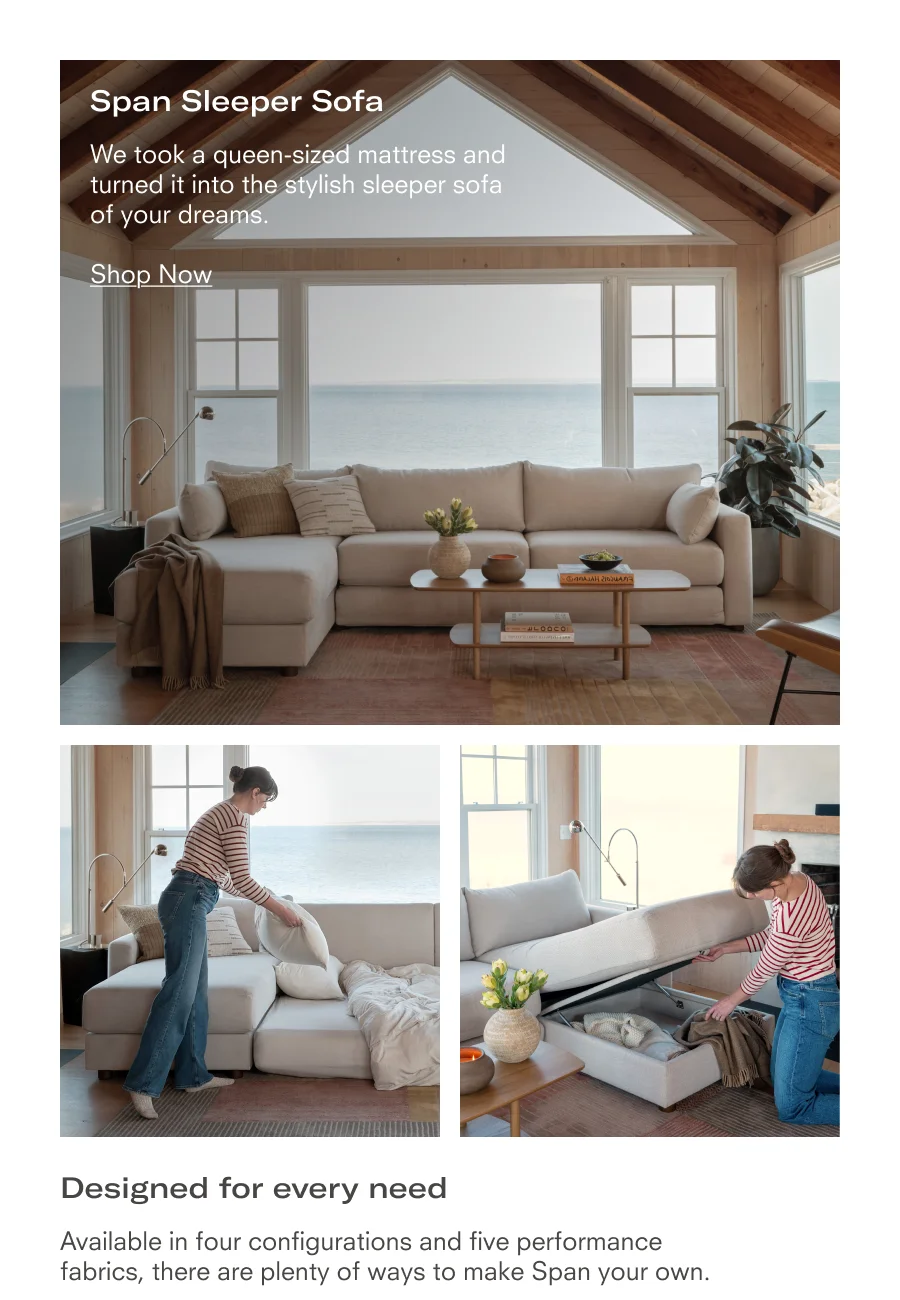 Span Sleeper Sofa