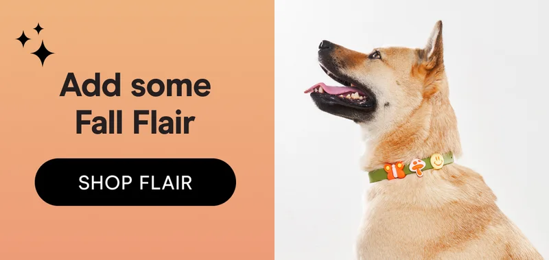 Add some Flair