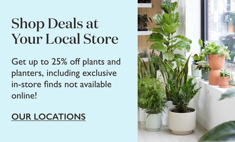 Save big at your local store. Get up to 25% off plants and planters, including exclusive in-store finds not available online!