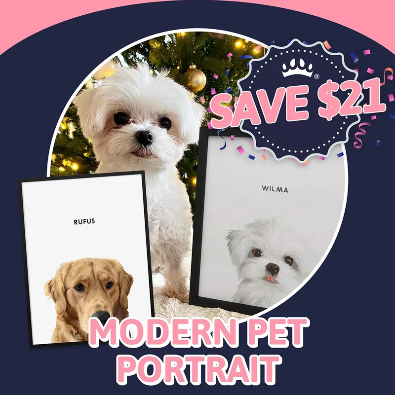 Modern Pet Portrait. SAVE $21