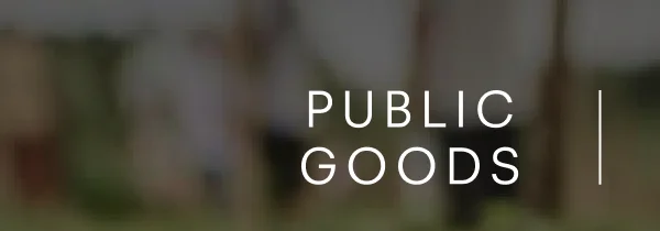 Public Goods