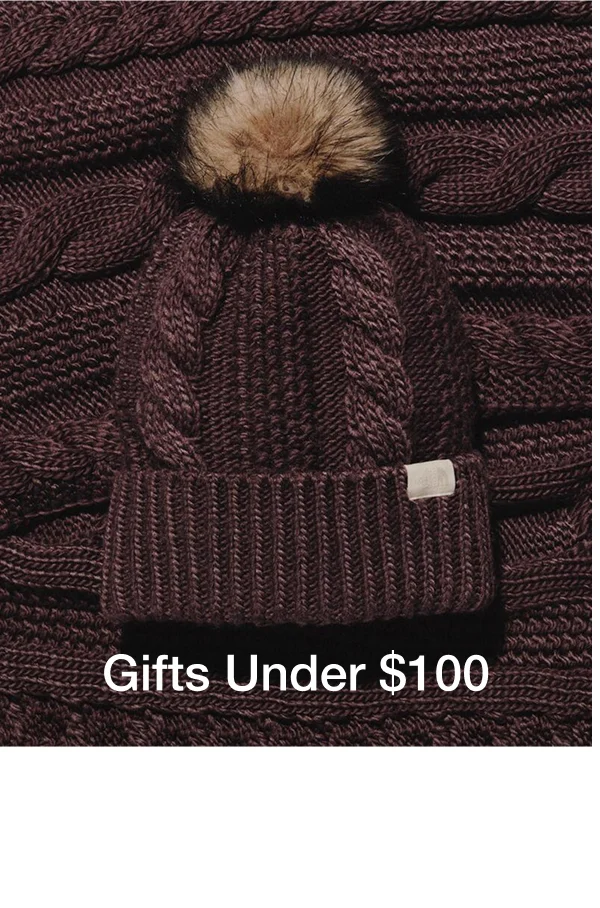 Gifts Under $100