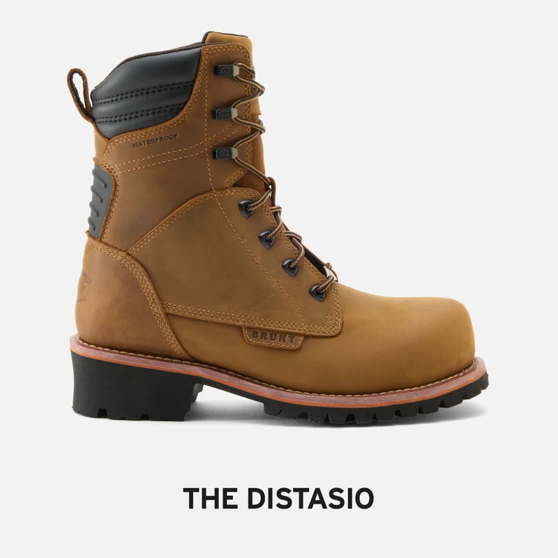 The Distasio