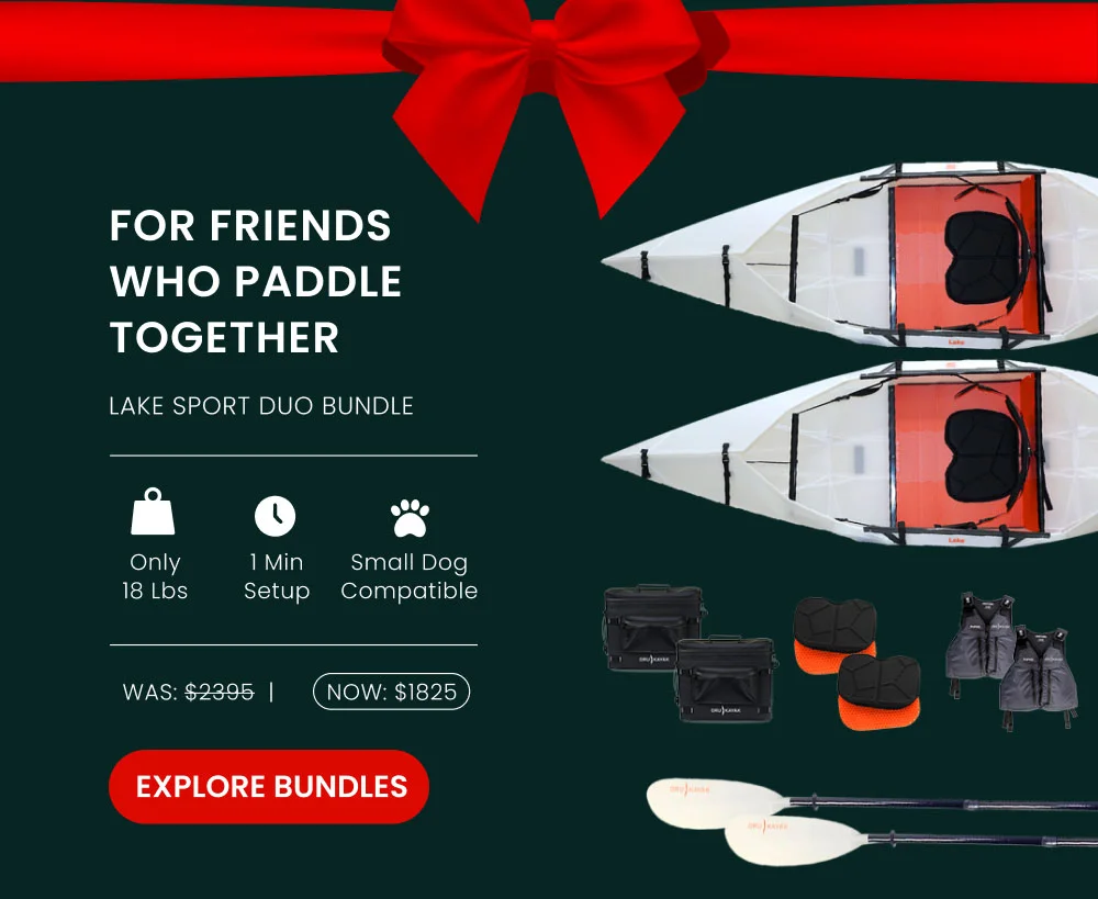 Shop Lake Sport Duo Bundle
