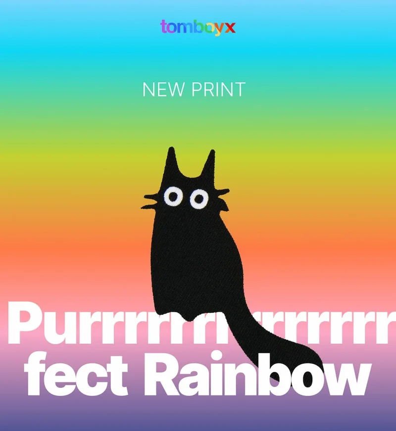 Purrfect Rainbow