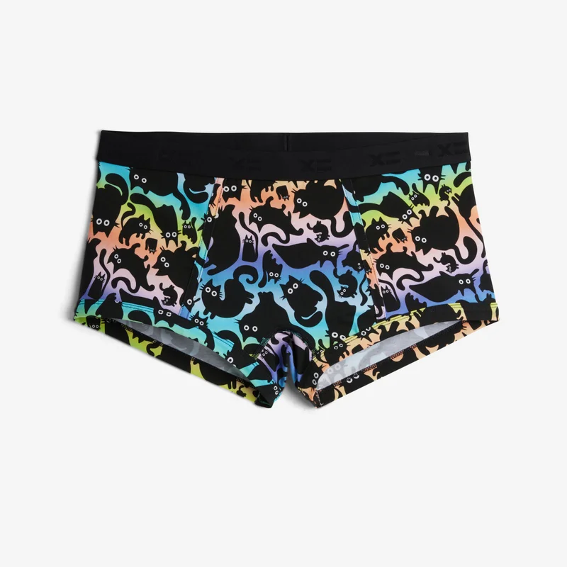 Image of Boy Shorts - Purrfect Rainbow