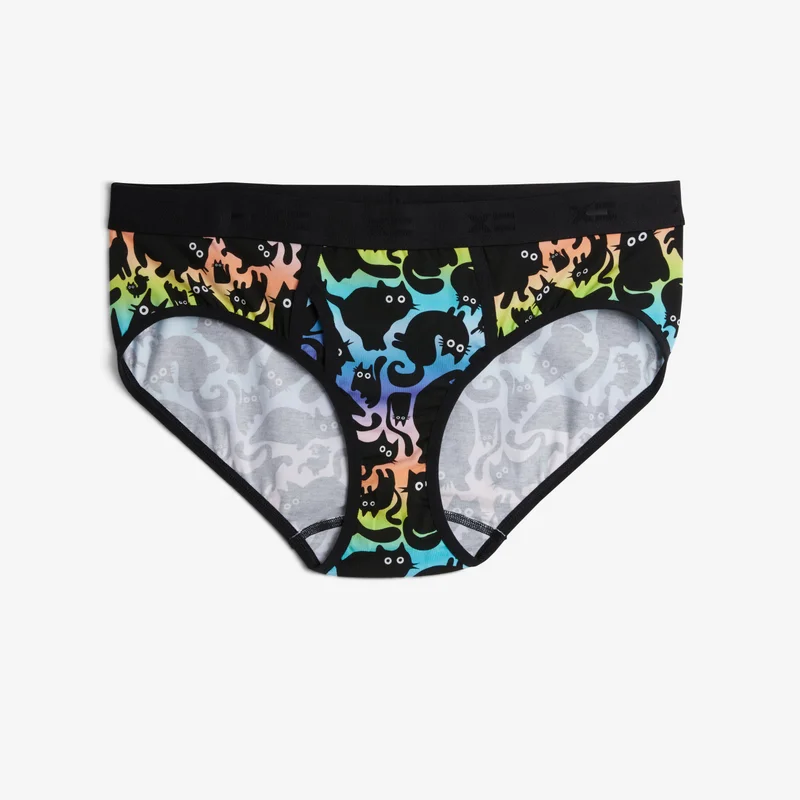 Image of Iconic Briefs - Purrfect Rainbow