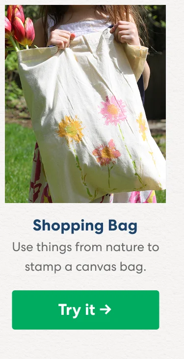 Shopping Bag: Use things from nature to stamp a canvas bag. Shopping Bag: Use things from nature to stamp a canvas bag.