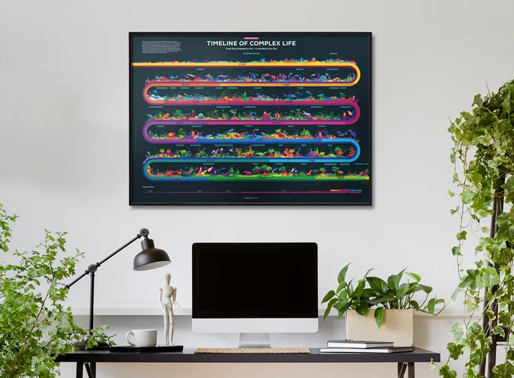 Timeline of Evolution Poster