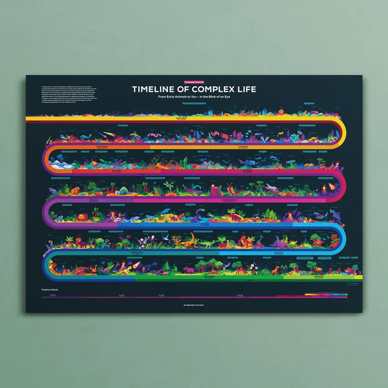 Timeline of Evolution Poster