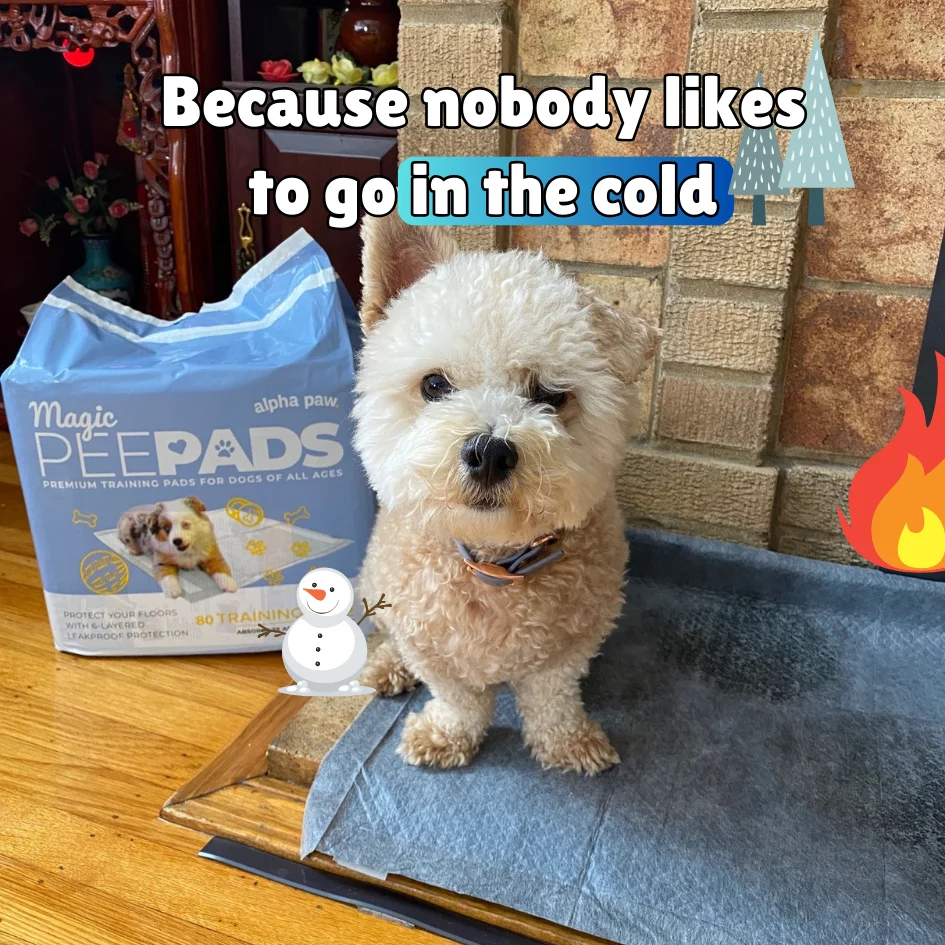 Magic Pads