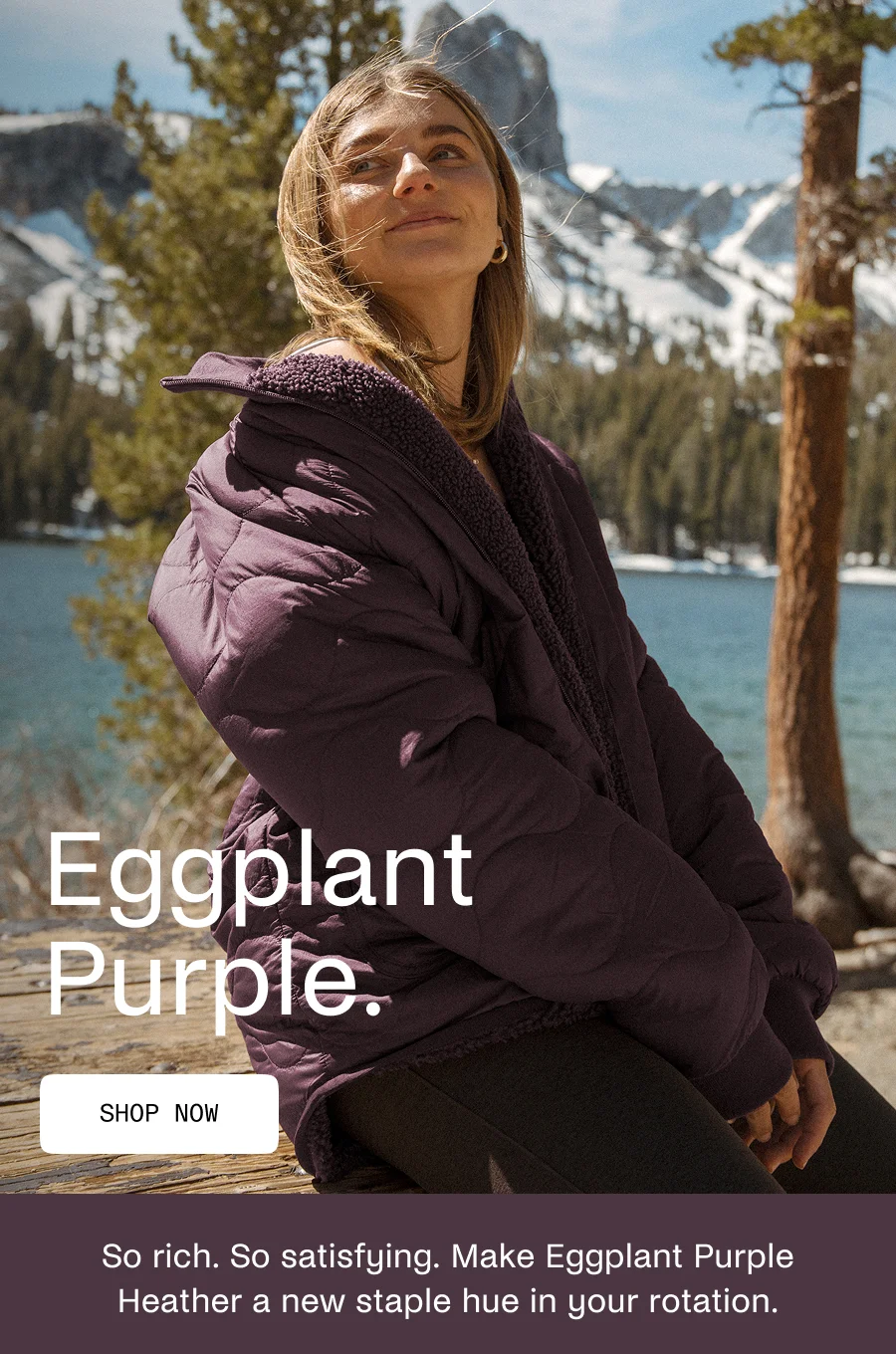 New Hues - Eggplant Purple Heather