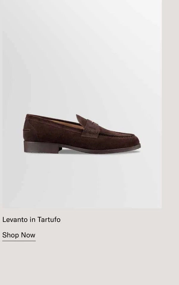 Levanto in Tartufo