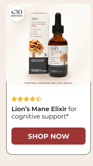 Lion’s Mane Elixir for cognitive support