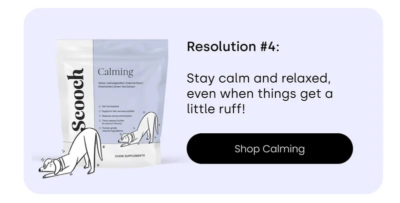 This 2025, your pup will Stay calm and relaxed, even when things get a little ruff! - Shop Calming
