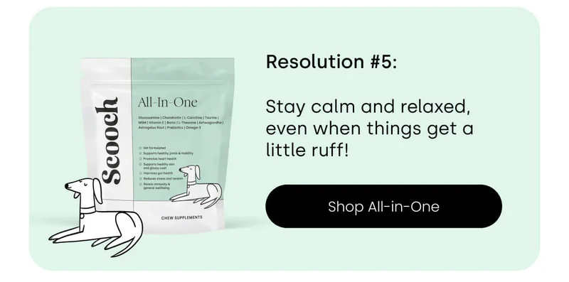 This 2025, your pup will Stay healthy, strong, and always ready for the next adventure. - Shop All-in-One