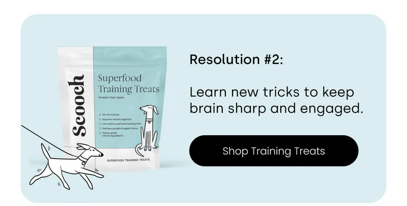 This 2025, your pup will Learn new tricks to keep brain sharp and engaged. - Shop Training Treatsreats! - Subscribe to Gut & Digestion