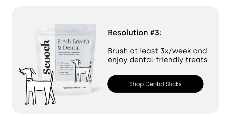 This 2025, your pup will Brush at least 3x/week and enjoy dental-friendly treats - Shop Dental Sticks