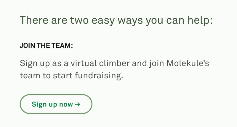 Join the team: