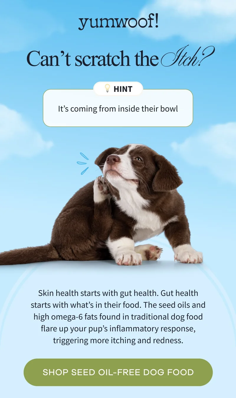 Yumwoof! | Can’t Scratch the Itch? |💡 Hint | It’s coming from inside their bowl | Skin health starts with gut health. Gut health starts with what’s in their food. The seed oils and high omega-6 fats found in traditional dog food flare up your pup’s inflammatory response, triggering more itching and redness. | SHOP SEED OIL-FREE DOG FOOD