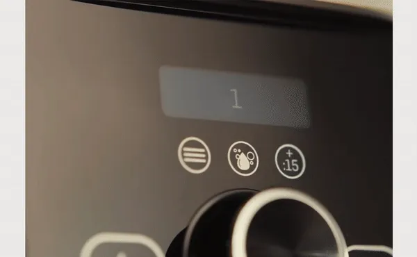 Self-Cleaning Program