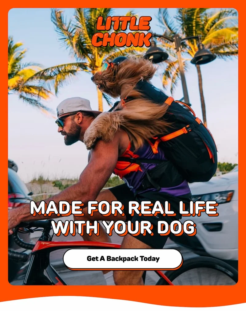 MADE FOR REAL LIFE WITH YOUR DOG