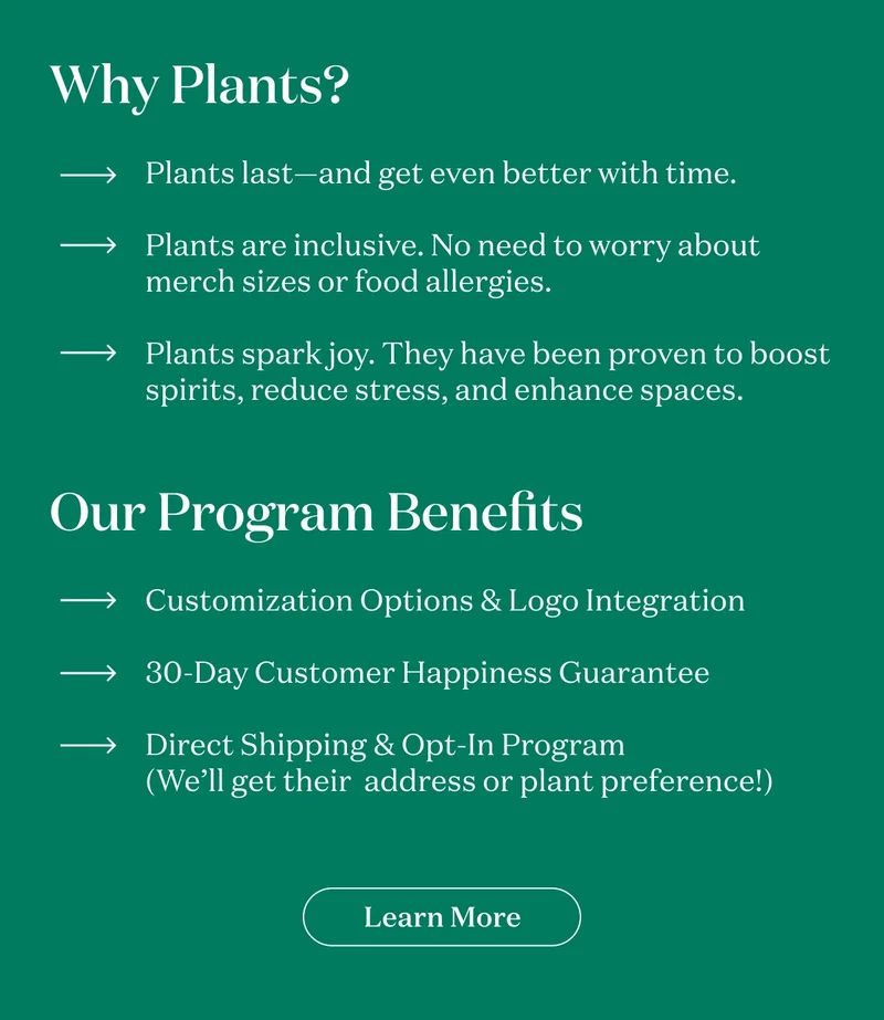 Why gift plants? Plants last, and get even better with time. Plants are inclusive, no need to worry about merch sizes or food allergies. Plants spark joy, they have been proven to boost spirits, reduce stress, and enhance spaces.