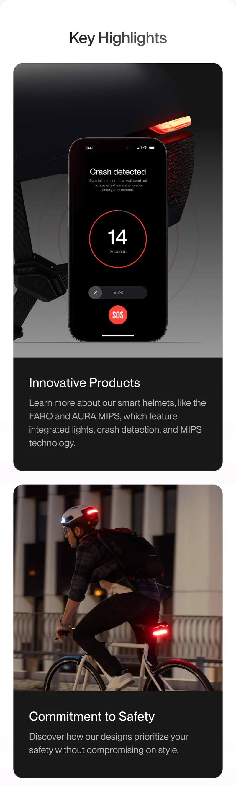 Key Highlights