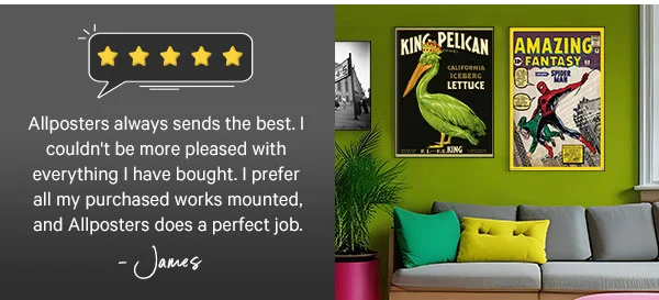 Allposters always sends the best. I couldn't be more pleased with everything I have bought. I prefer all my purchased works mounted, and Allposters does a perfect job. James - 5 stars
