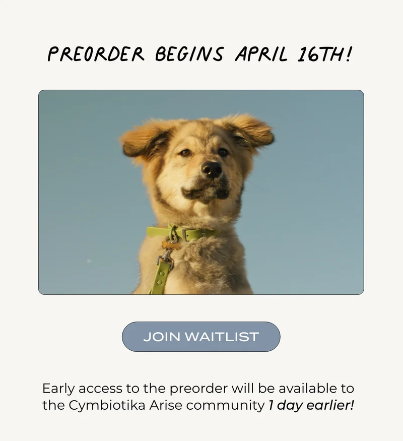 Preorder begins April 16th.