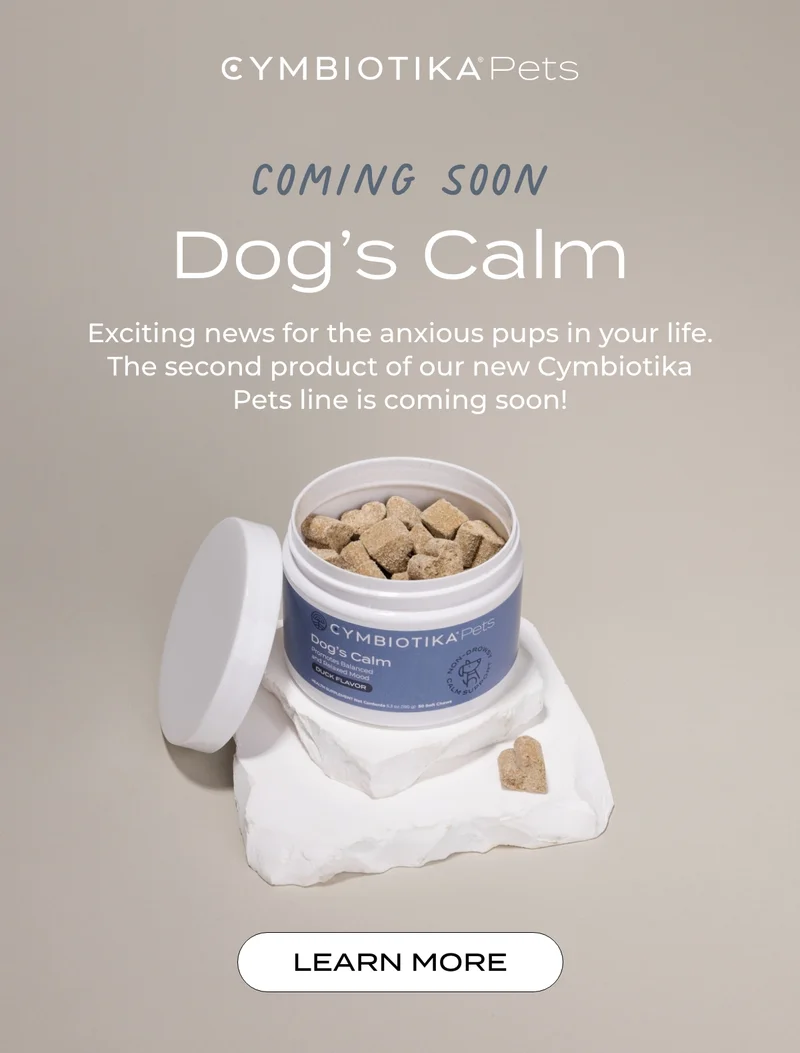 COMING SOON: DOG'S CALM