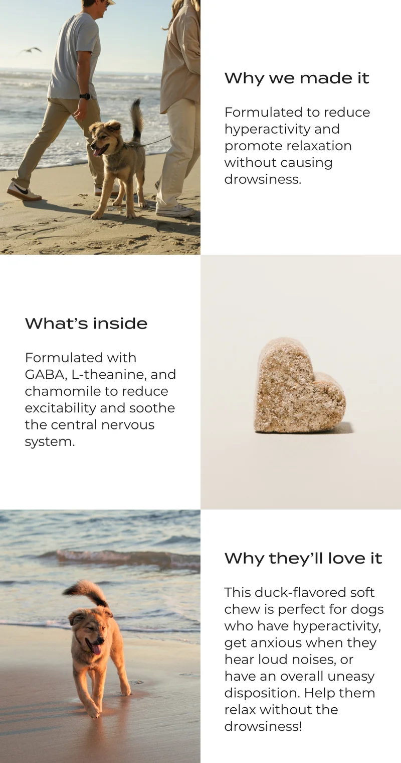 COMING SOON: DOG'S CALM