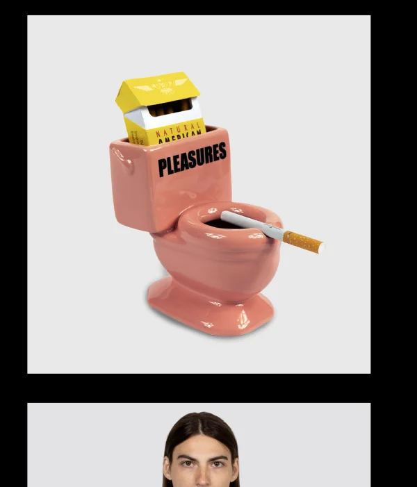 TOILET ASHTRAY