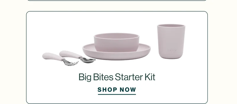 Shop Big Bites Starter Kit