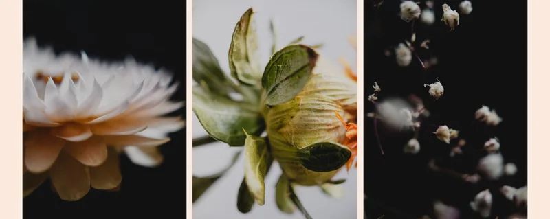 Speaking of flowers. Have you seen what our Macro Lens can do?