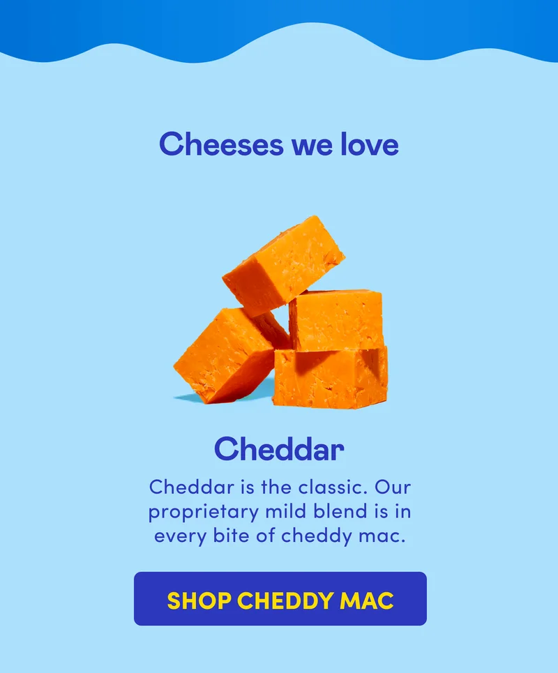 SHOP CHEDDY MAC