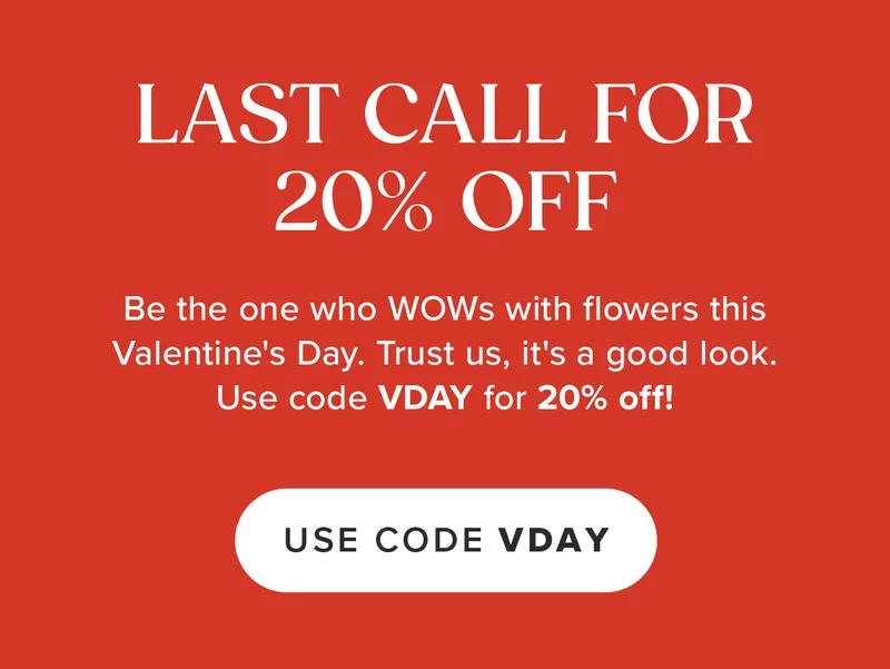 Last Call For 20% Off. Be the one who WOWs with flowers this Valentine's Day. Trust us,  it's a good look. Use code VDAY for 20% off!