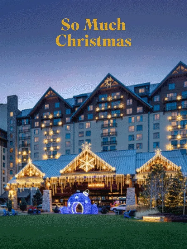 Gaylord Christmas photo.