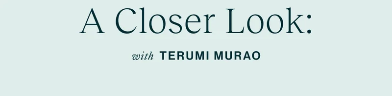 A Closer Look: with Terumi Murao